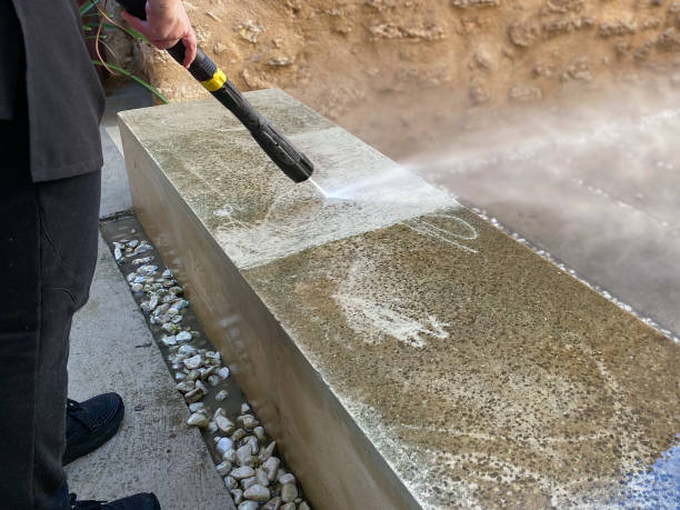 Best Roof Power Washing Services  in Medford, MN